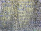 image of grave number 688814